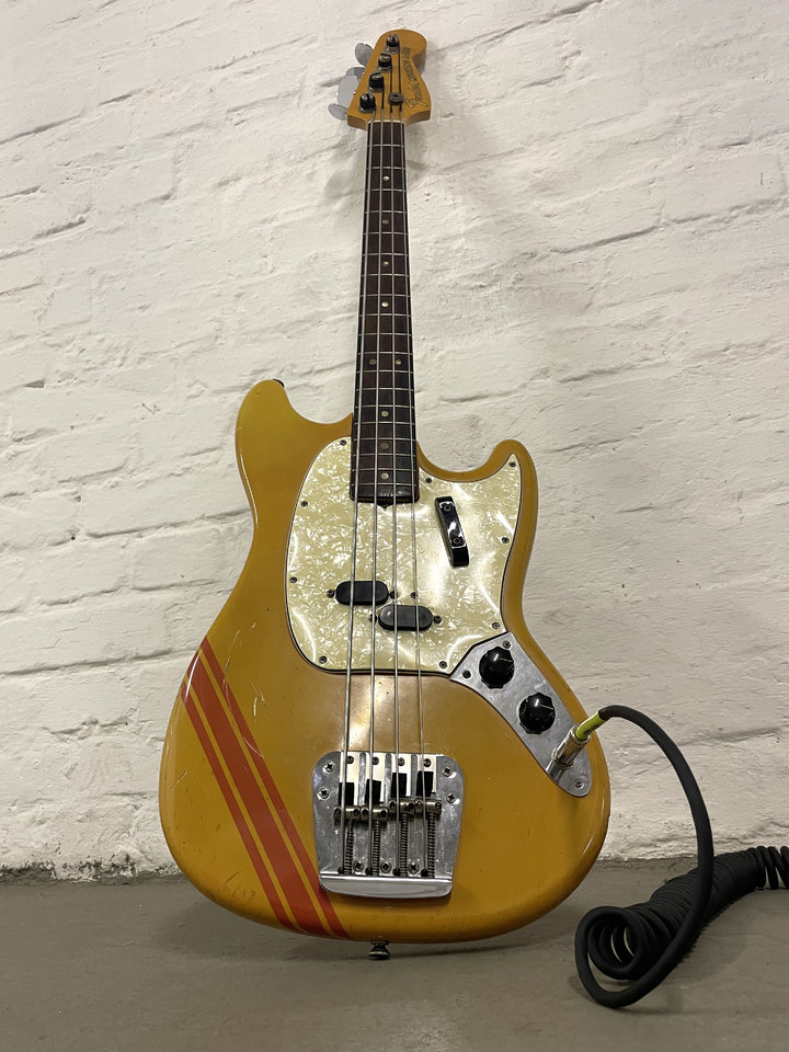 Mustang_Bass_2.jpg