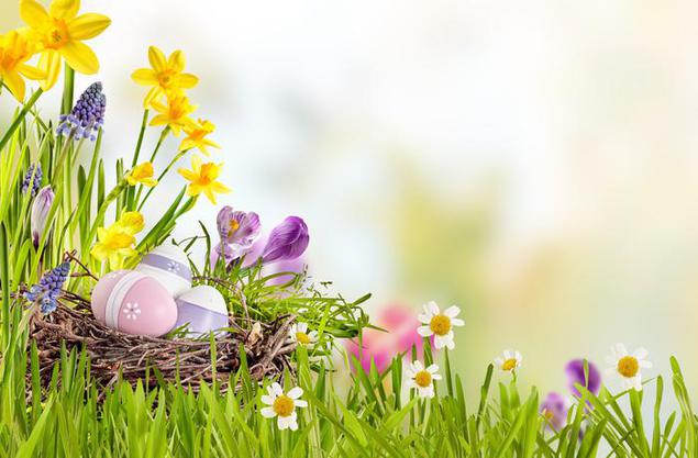 ostern-nest-tapete-24761_w635.jpg