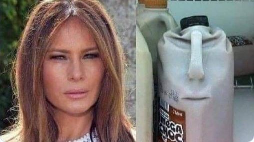 plastic can melania.jpg