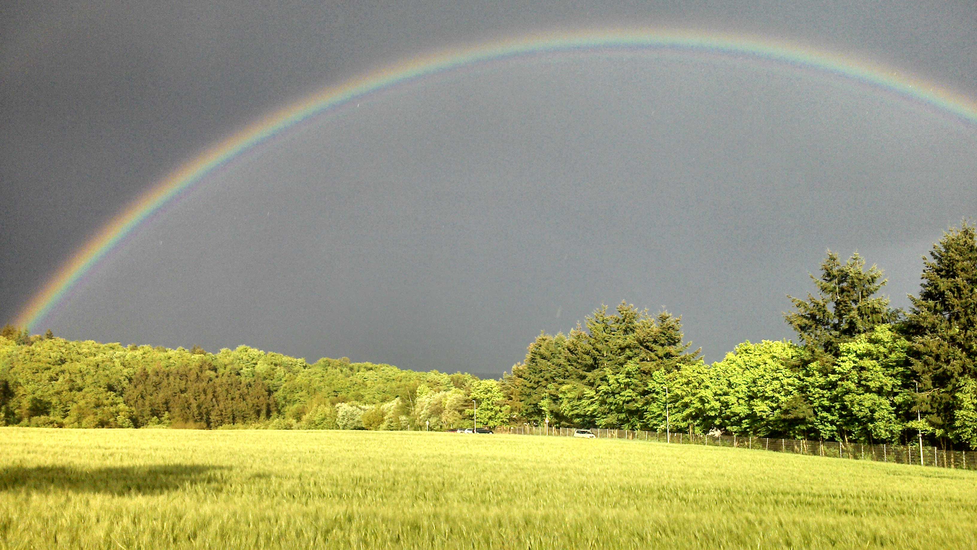 Regenbogen1.jpg