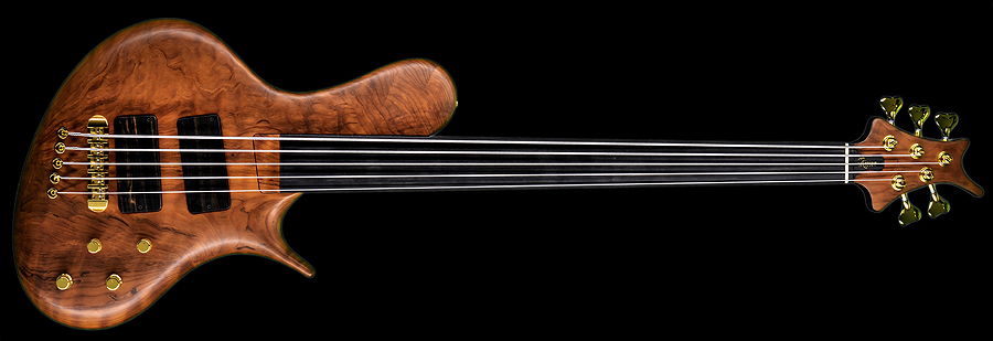 Ritter R8 fretless.jpg