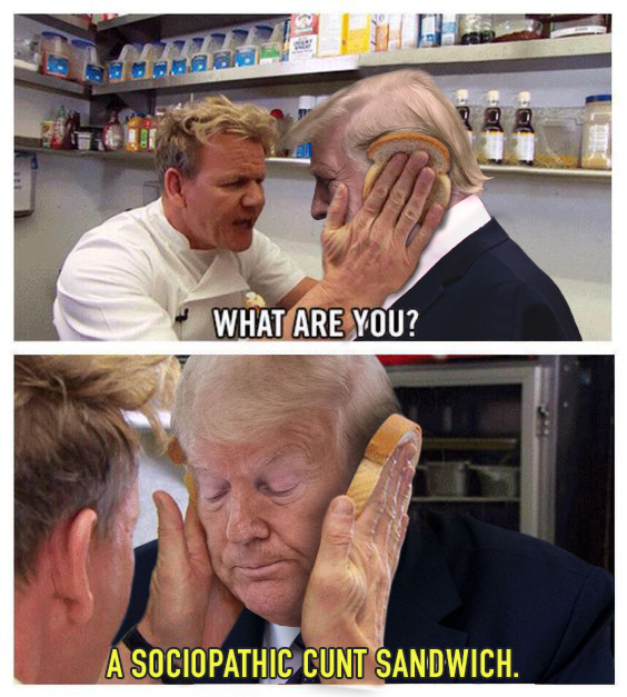 sandwich.jpg