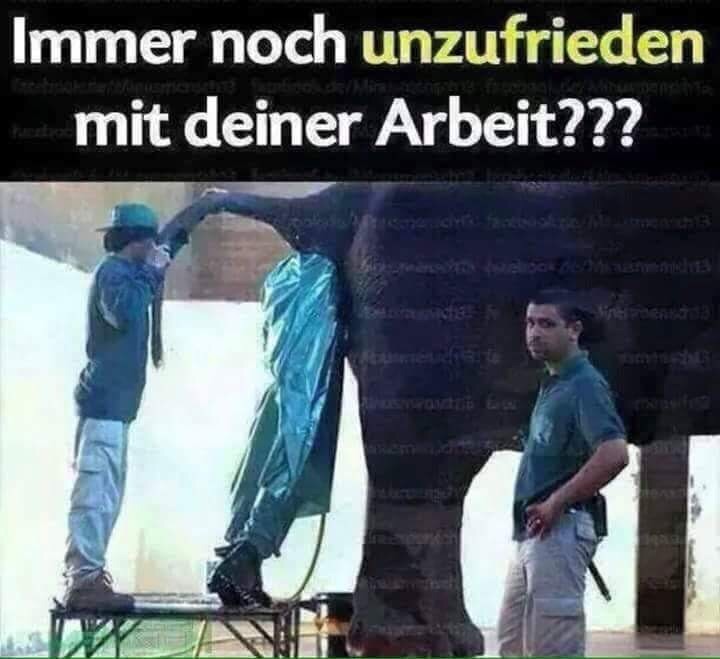 Scheißjob.jpg