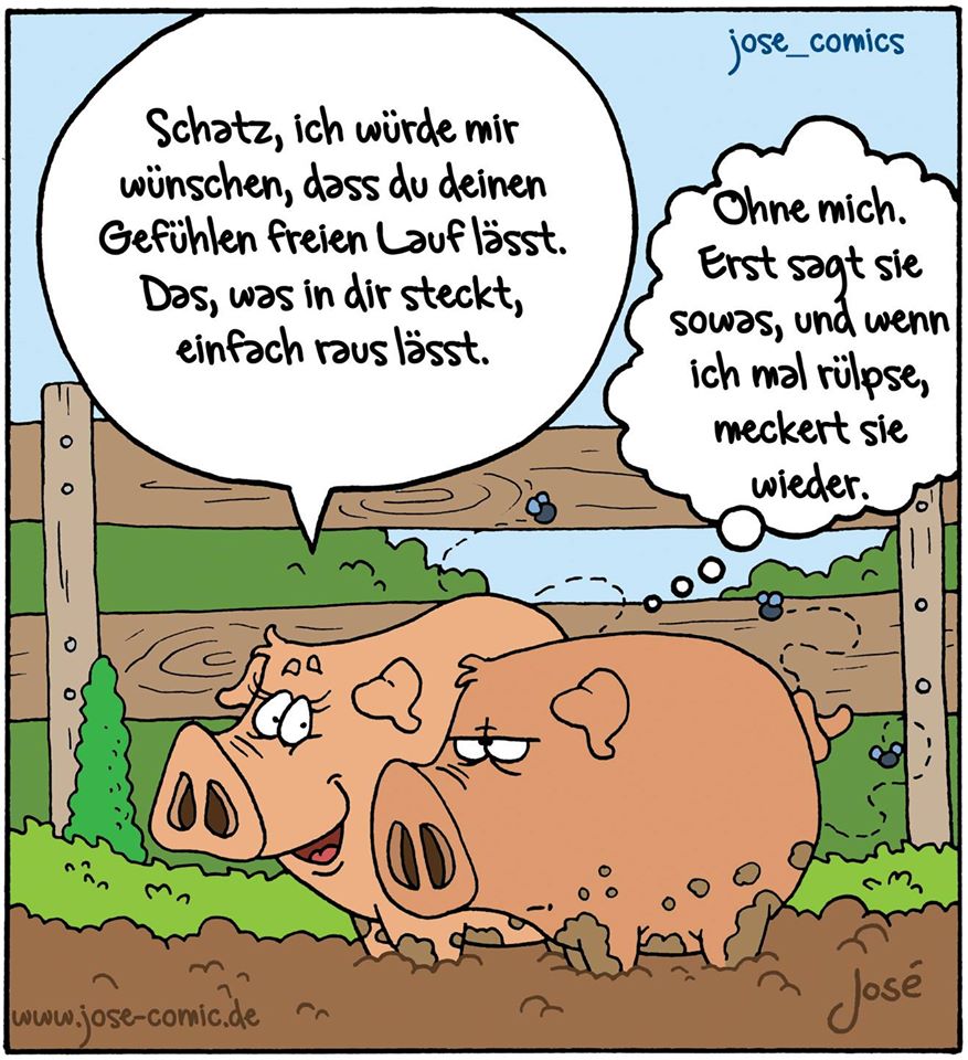 Schweine1.jpg