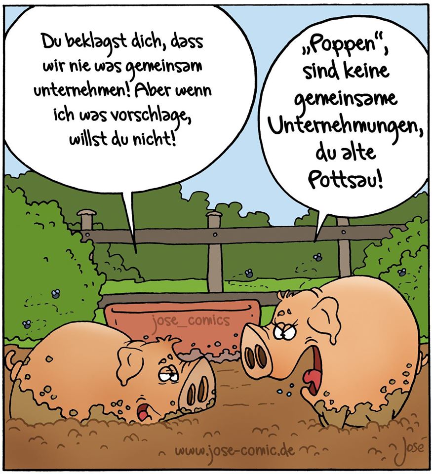 Schweine2.jpg