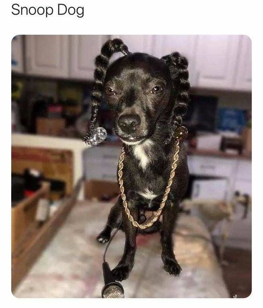 snoopdog.jpg