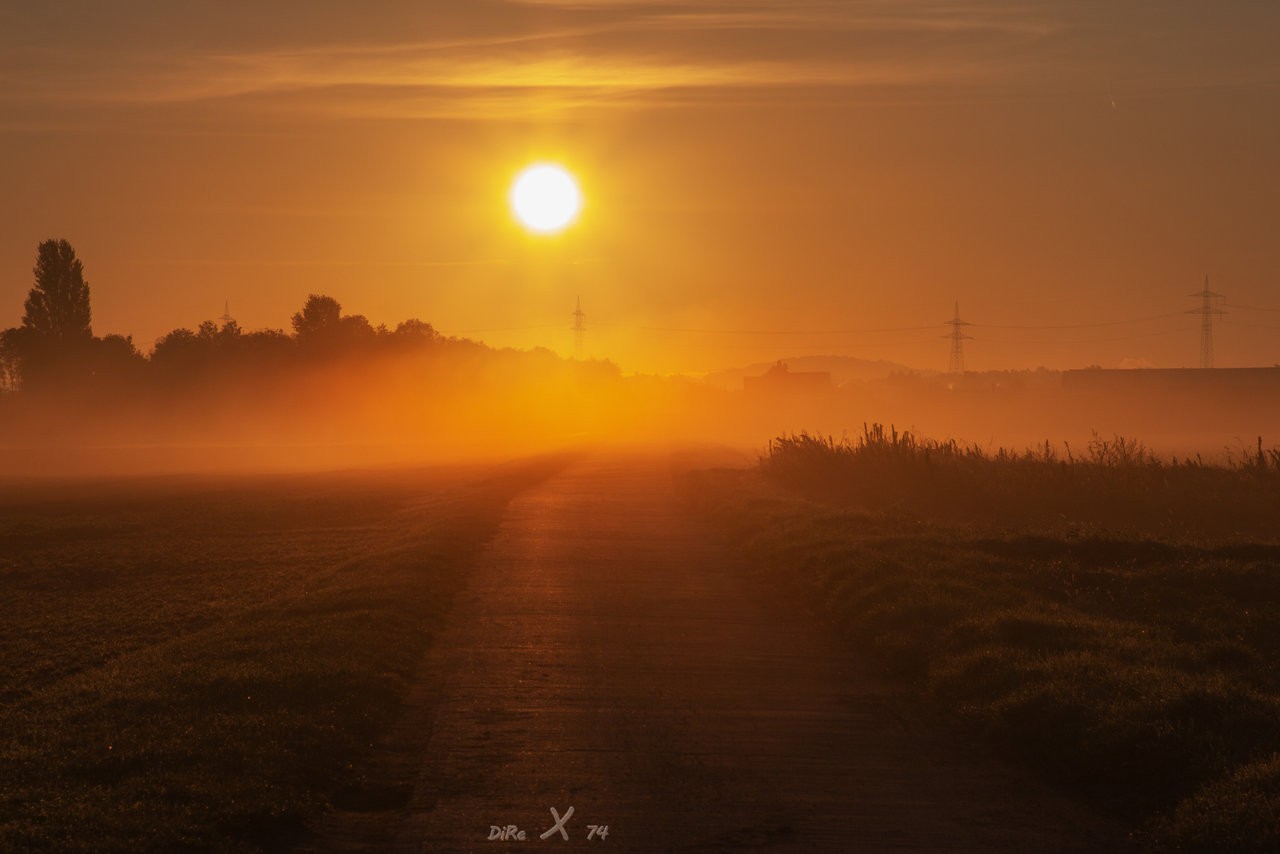 Sonnenaufgang_nebel_26102019.jpg