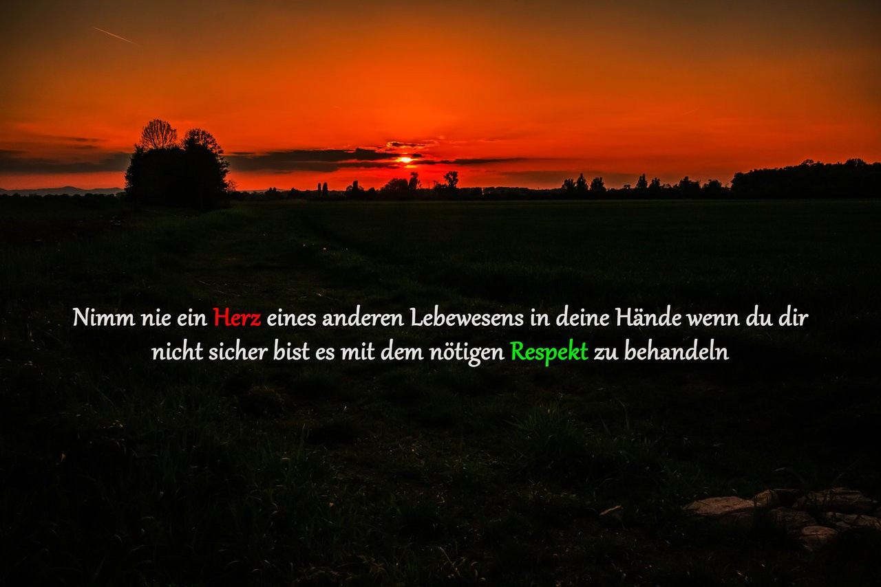 sundown_01_Herz.jpg