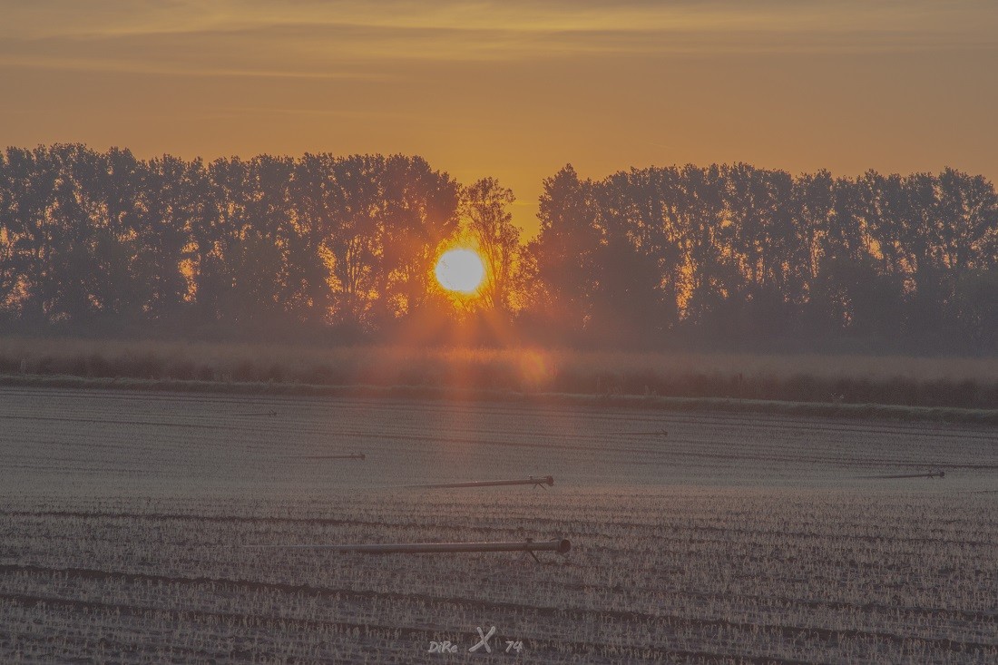 sunrise_field_26102019.jpg