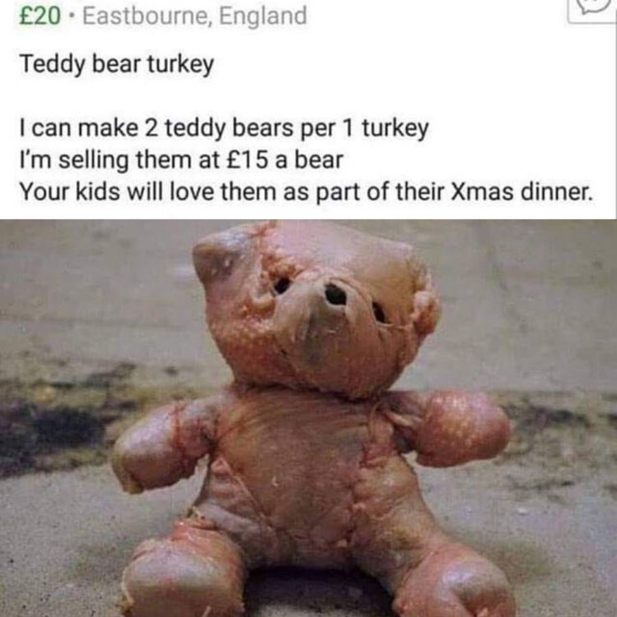 teddy-bear-turkey-74732.jpg