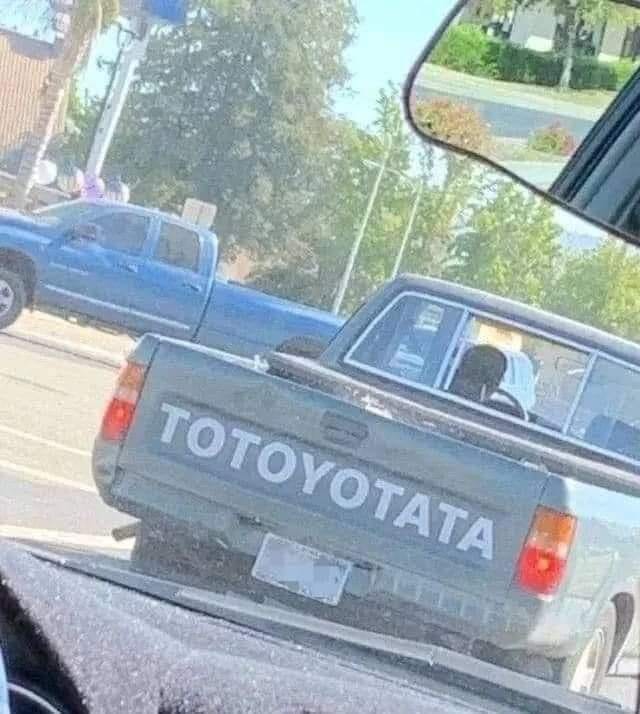 totoyotata.jpg