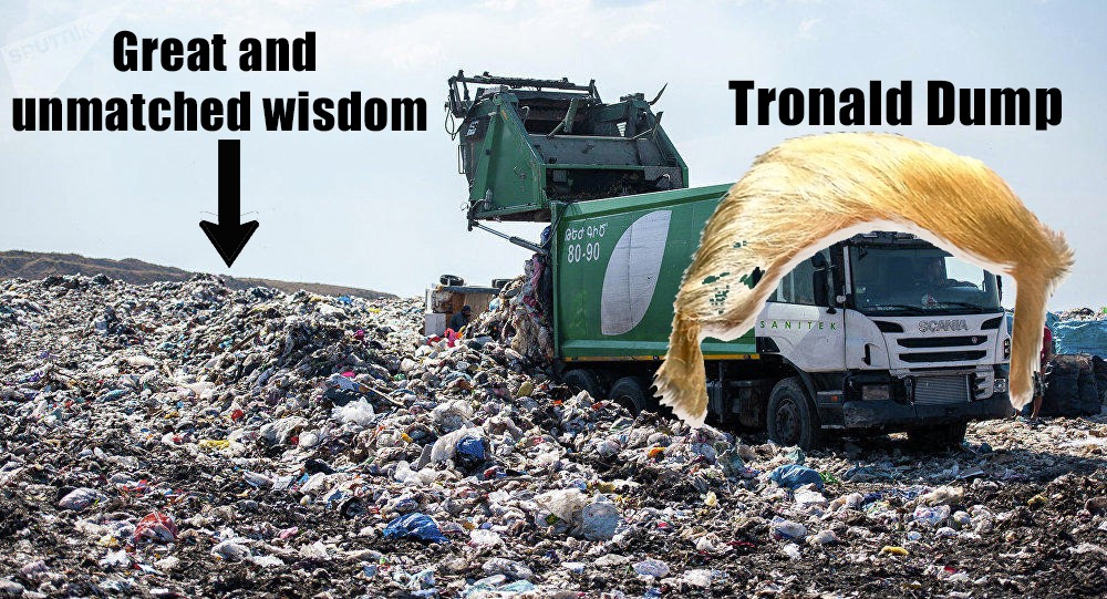 tronald dump wisdom.jpg