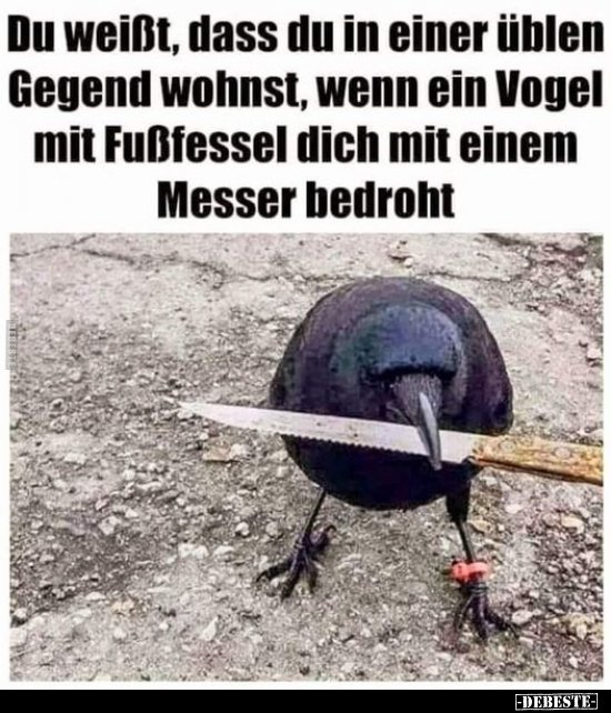 uebleGegend_u.jpg