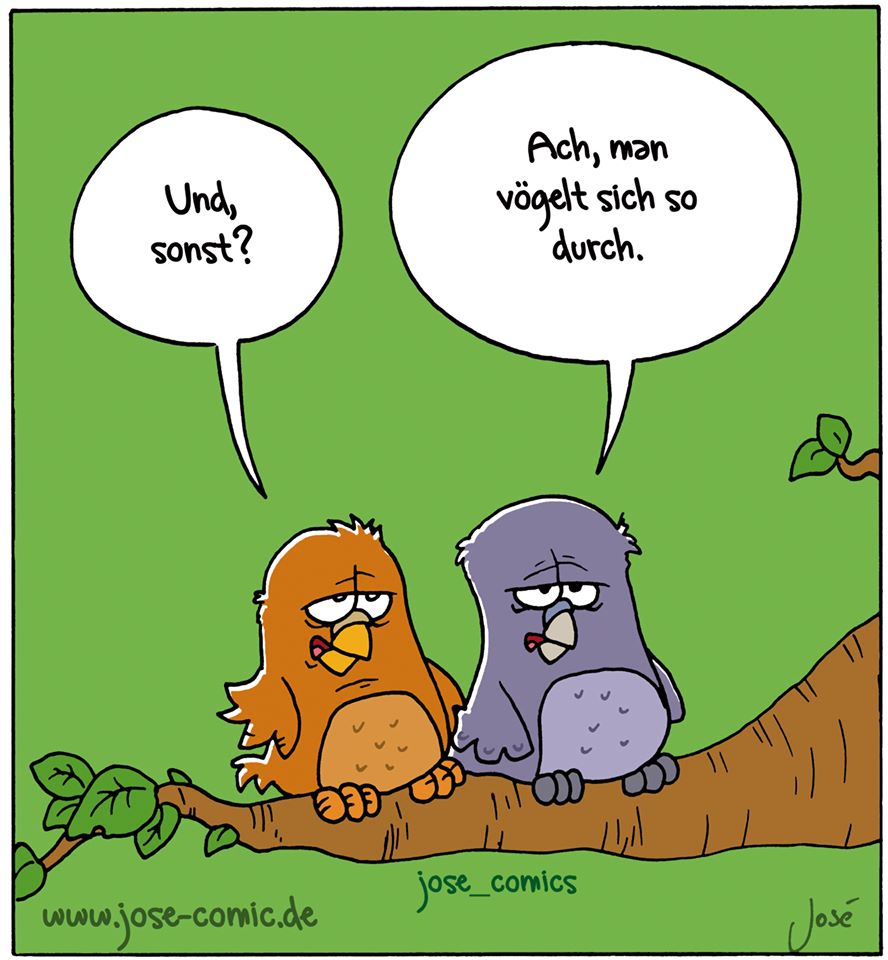 Vögel01.jpg