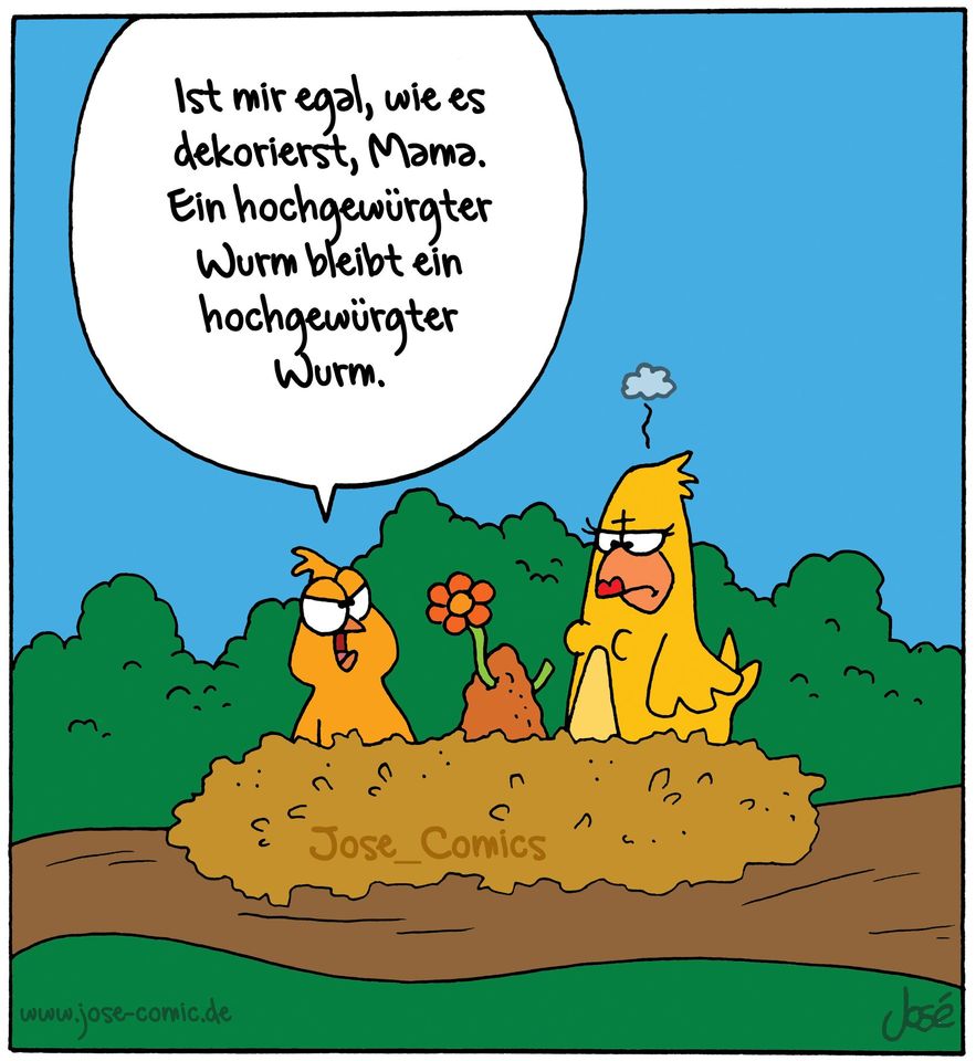 Vögel02.jpg