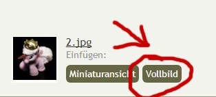 voll.jpg