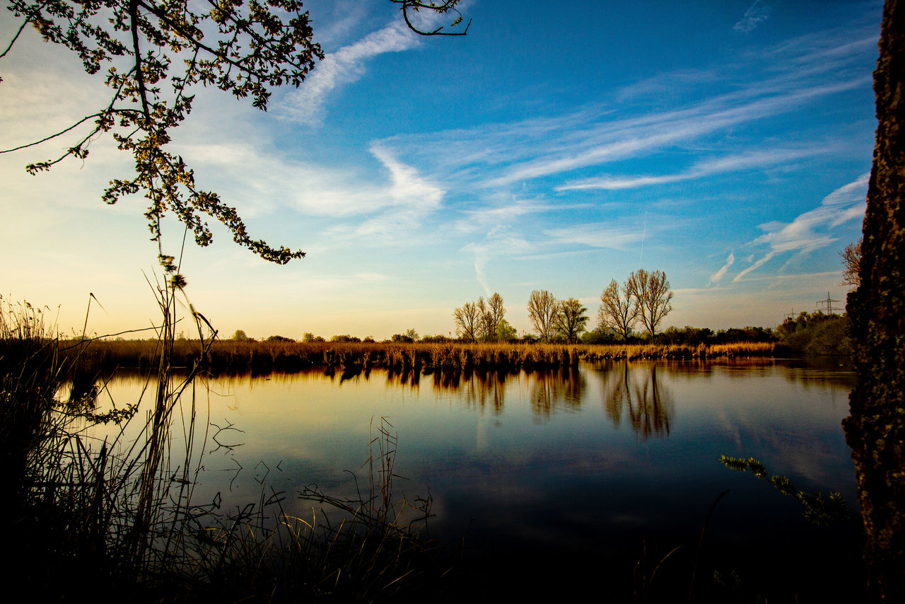 Wagbachniederung_06042019_Sonnenaufgang_30_PS.jpg