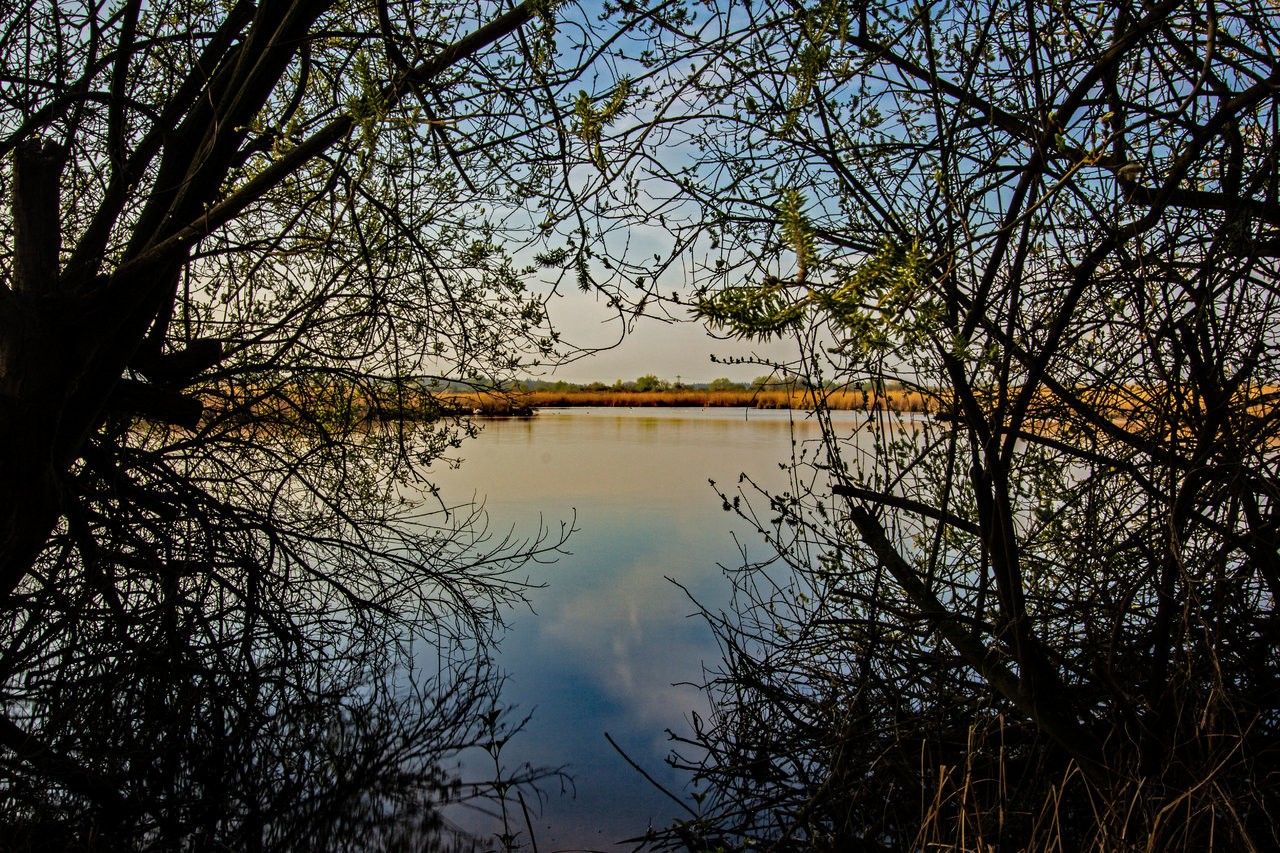 Wagbachniederung_06042019_Sonnenaufgang_60_PS.jpg