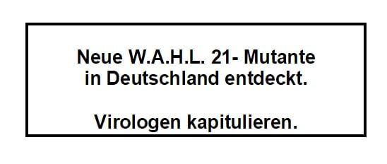 wahl21.jpg