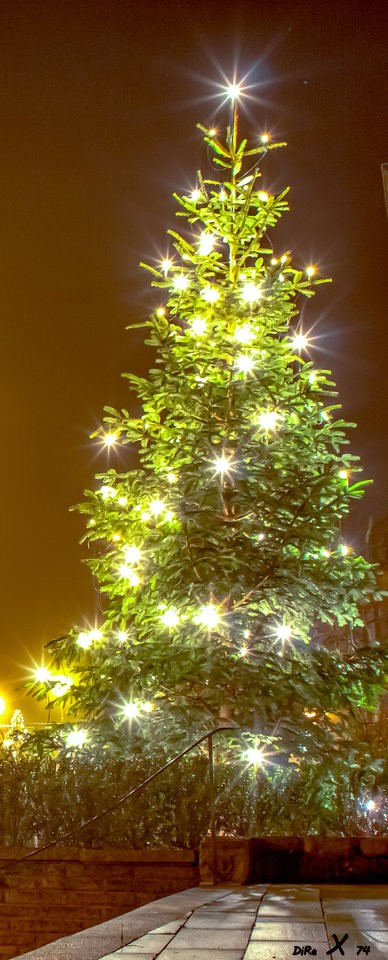 weihnachtsbaum_20122019-3.jpg