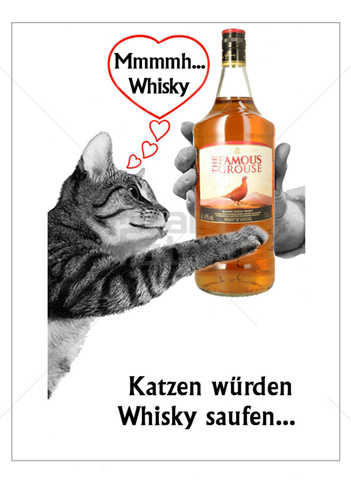 whiskas13988_2.jpg