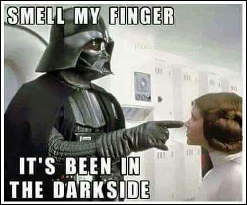 Witz Darth Vader_Smell_my_Finger_2.jpg