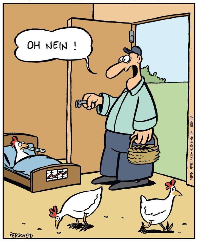 Witz Huhn 2_small.jpg