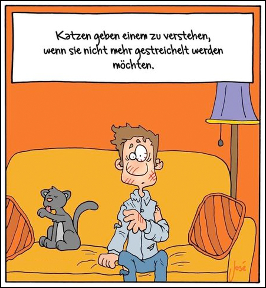 Witz Katzen_2.jpg