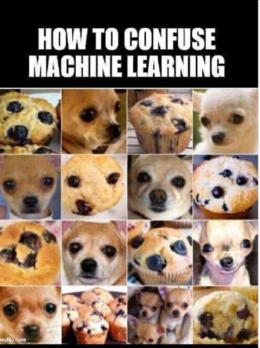 Witz_MachineLearning.jpg