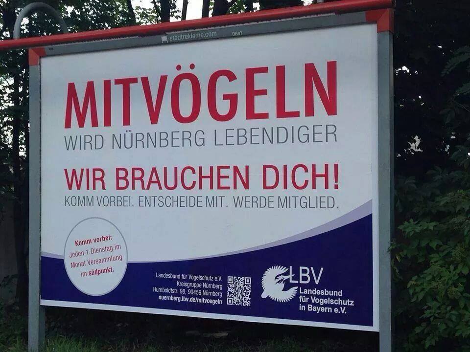 Witz_Mit_Voegeln.jpg