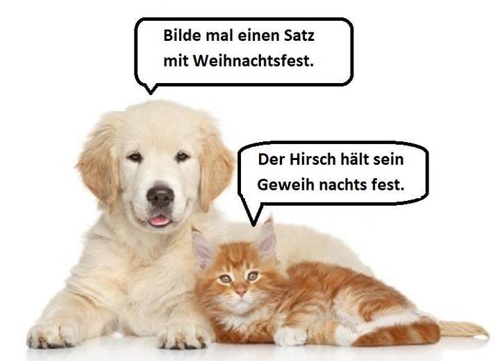 Witz_Weihnachtsfest.jpg