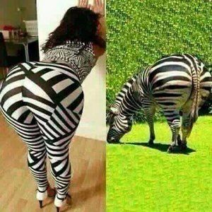 afrika leggins.jpg