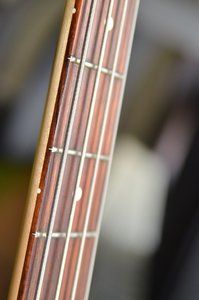 Fender_DeluxeFUN_4849.JPG