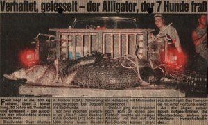 https _picload.org_image_rggddggd_zalligatorfrisst7hunde.jpg