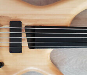 wanted: e-bass short scale fretless 5-string