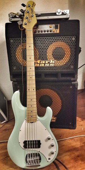 Sterling by Musicman Stingray S.U.B. - Tausche - Suche Akustikbass (Fender Kingman)