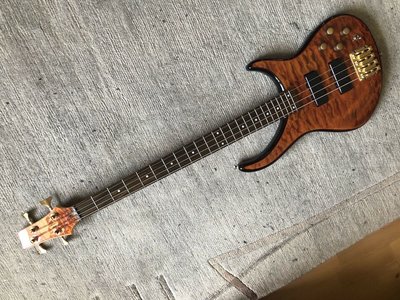 Apollo Bass (Peavey?)