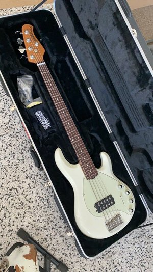 EB Musicman Stingray 5H Special in ivory white mit RW-fretboard