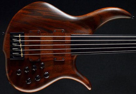 F Bass BN5 Deluxe Fretless Walnut Piezo Short Scale 30