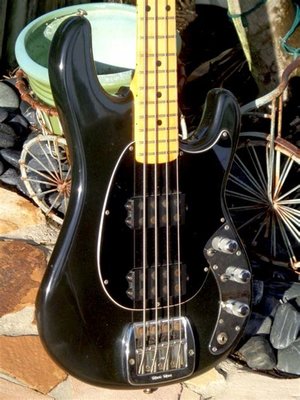 SUCHE: Music Man Sabre (70s oder 80s) in schwarz, Ahornhals