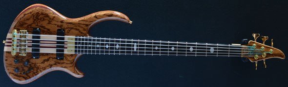 Alembic Rogue 5