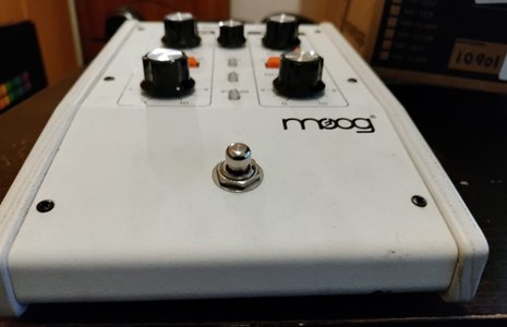 Moog_N_13.JPG