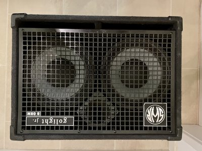 SWR Golight Junior 2x10" Bassbox 400W 8Ω grau - TOP ZUSTAND!