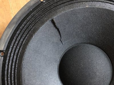 Suche zwei 10" Speaker mit 4 oder 16 Ohm