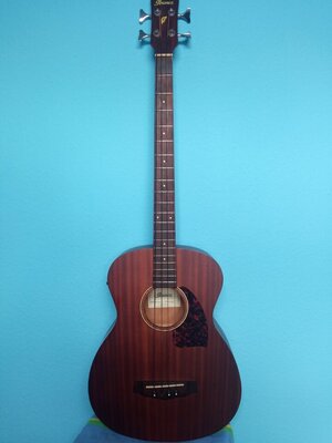 Ibanez PCBE