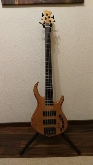 Sire M7 Swamp Ash 5 Saiter