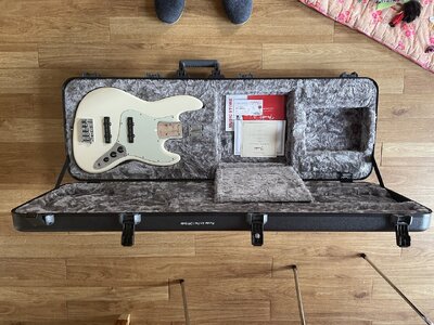 Fender Body Am Pro I - 6.JPG