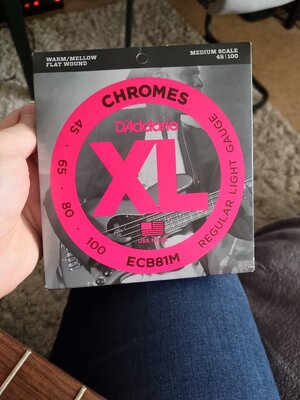 Daddario XL Chromes Flatwound Medium Scale 45/100