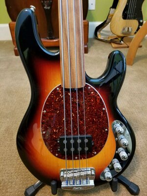 Suche Music Man StingRay Fretless Piezo