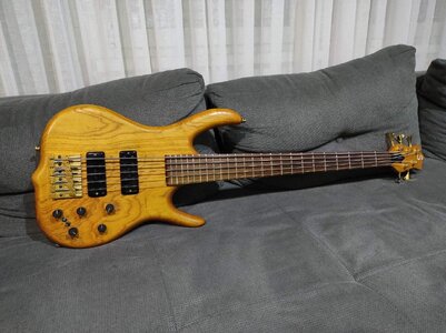 Suche Ken Smith BSR 5 bass